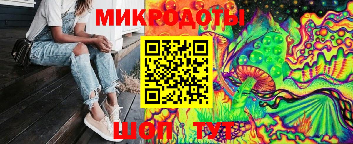 Галлюциногенные грибы Psilocybe Елец