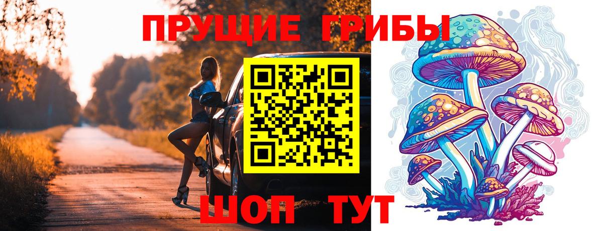 закладки  Вход с VPN  Елец  Псилоцибиновые грибы Psilocybe  Галлюциногенные грибы мухоморы 